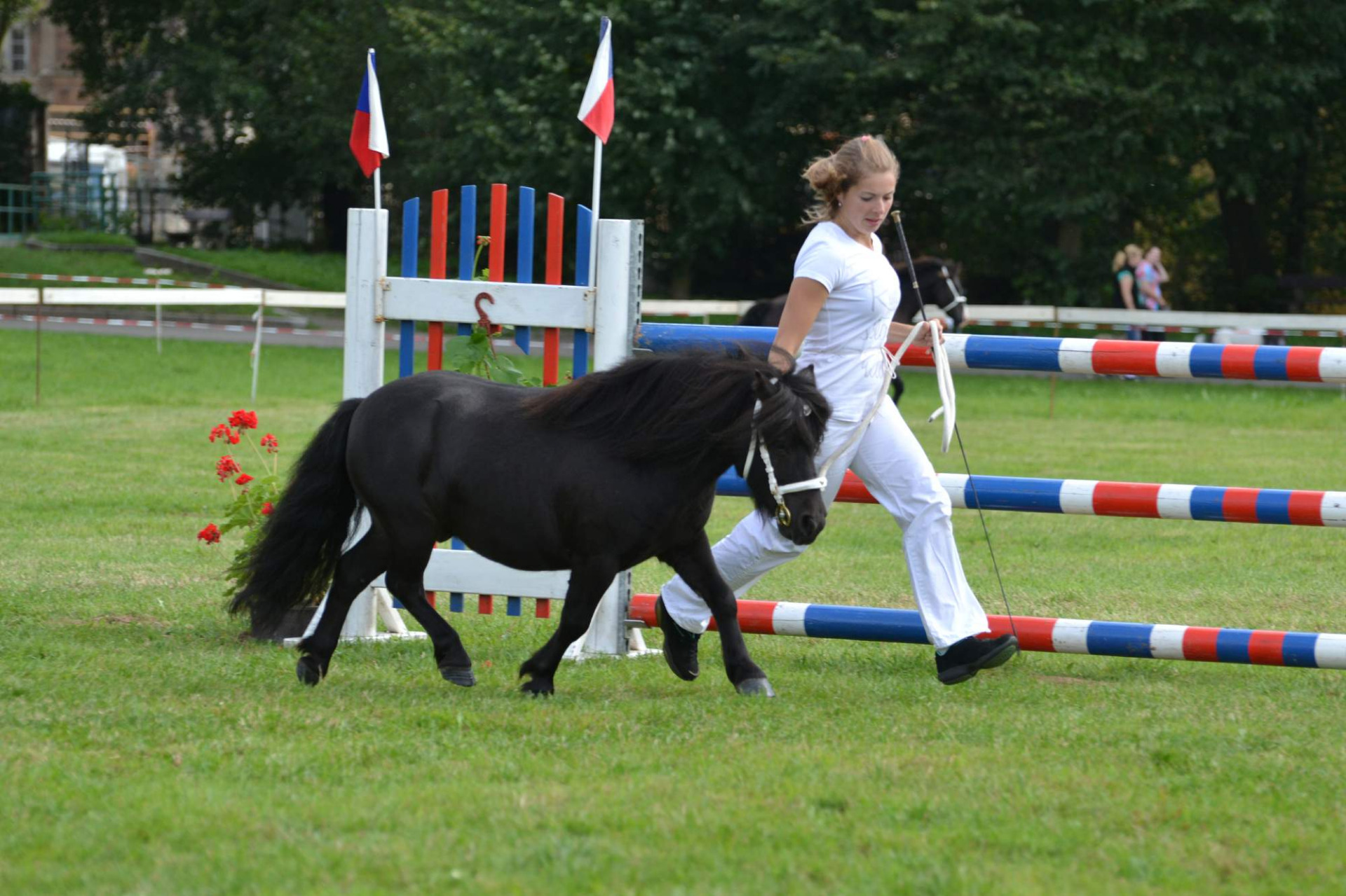 Aragon v.portma zathe